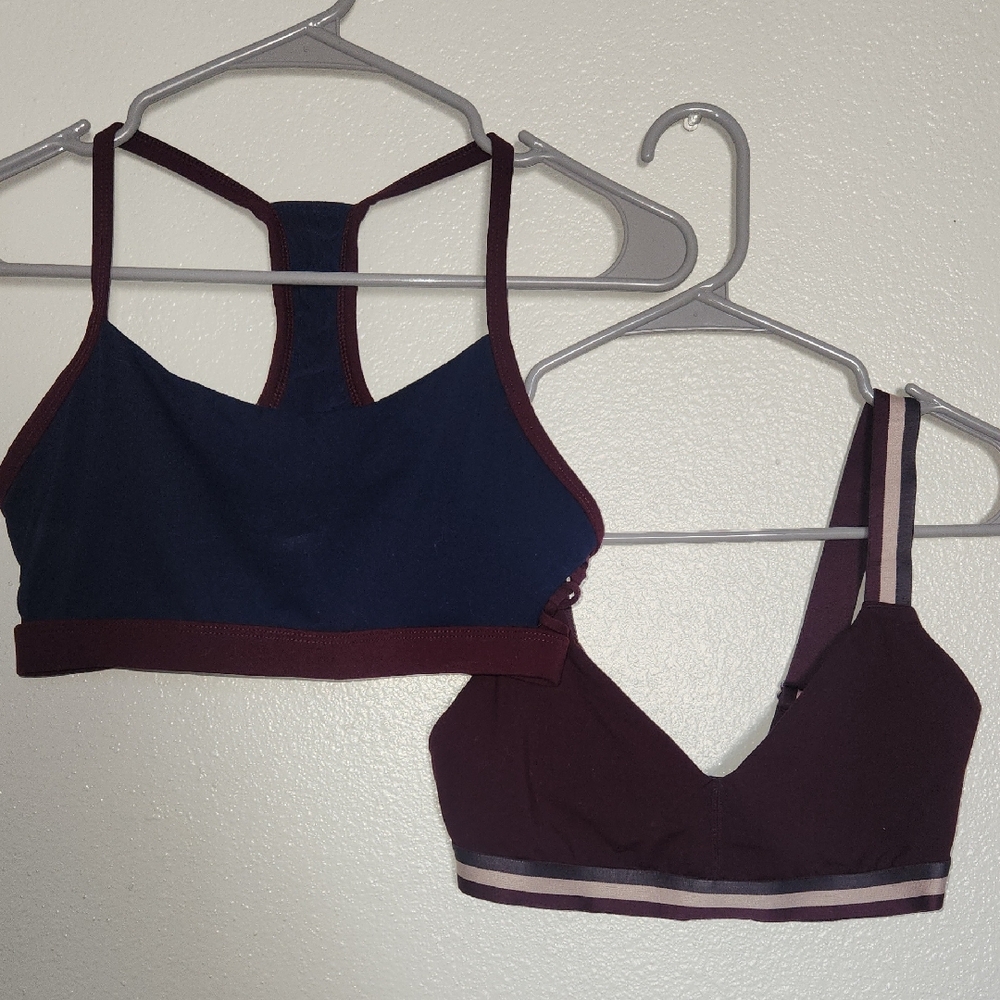 Fabletics Sports Bra Set